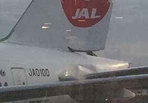 JAL尾翼